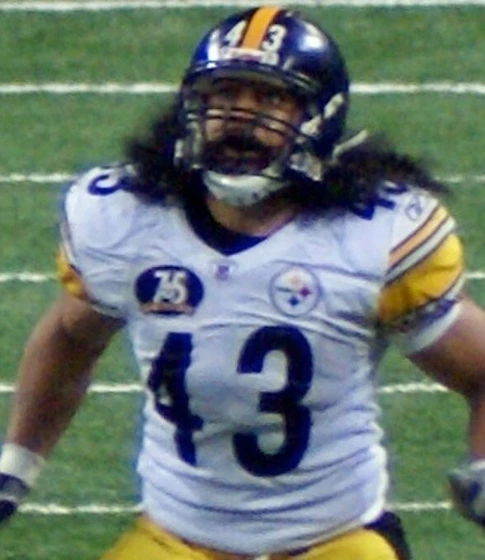 Troy Polamalu